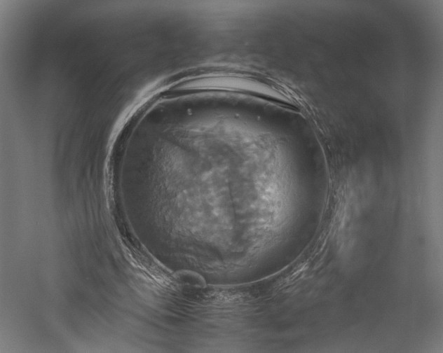 X0000057040343200509231453