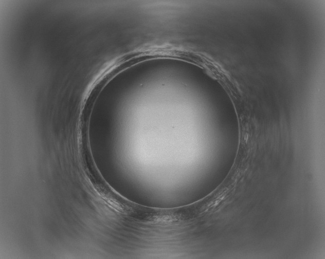X0000057040344200509231453