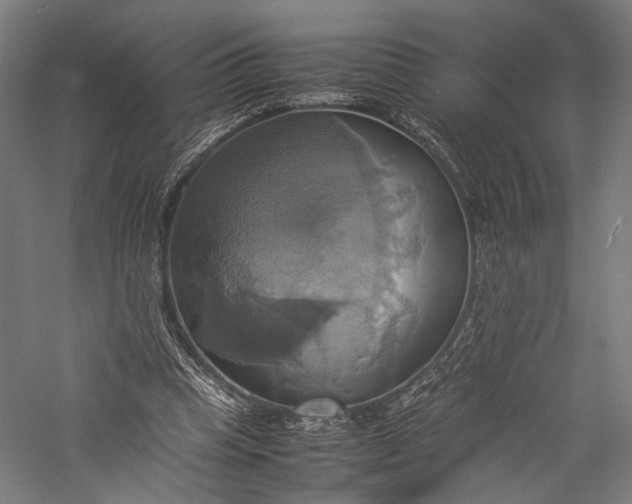 X0000057040345200509231453
