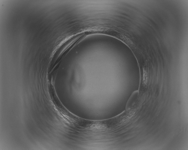 X0000057040348200509231453