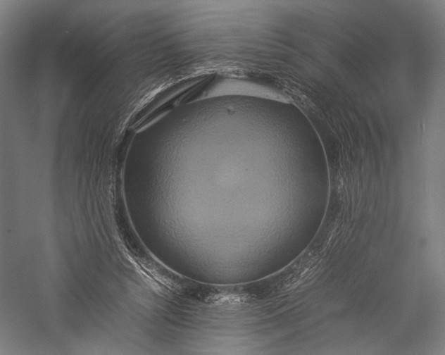 X0000057040352200509231453