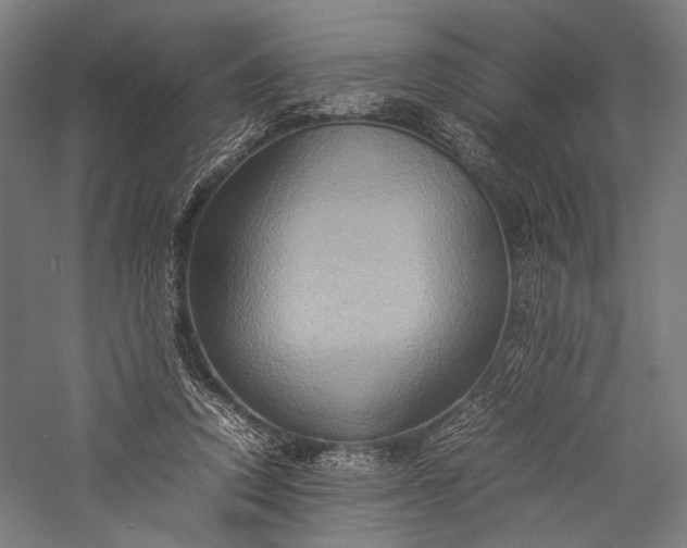 X0000057040354200509231453