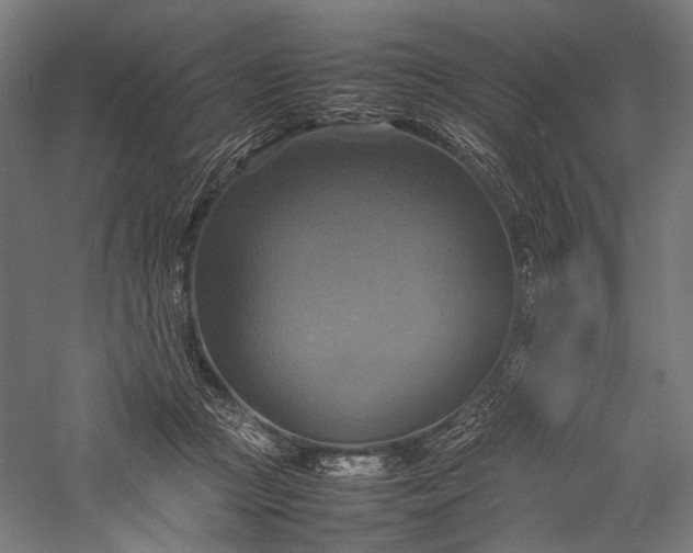 X0000057040361200509231453