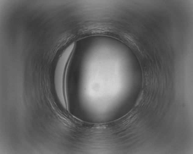 X0000057040362200509231453