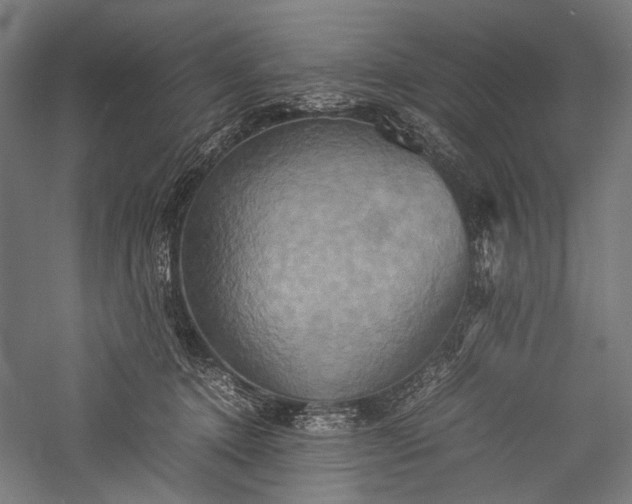 X0000057040368200509231453