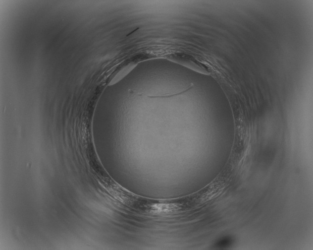X0000057040371200509231453