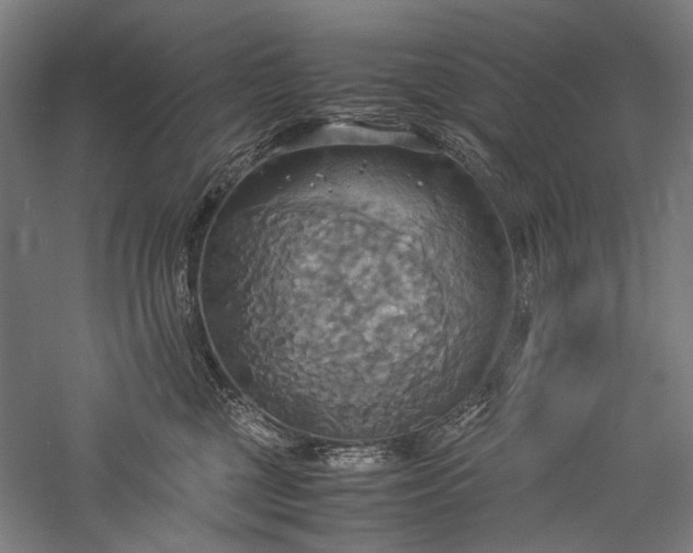 X0000057040377200509231453