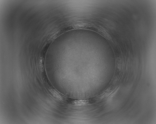 X0000057040378200509231453