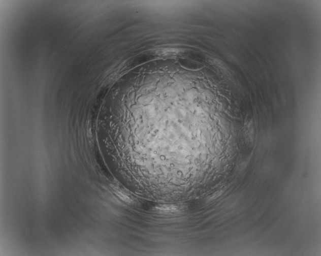 X0000057040381200509231453