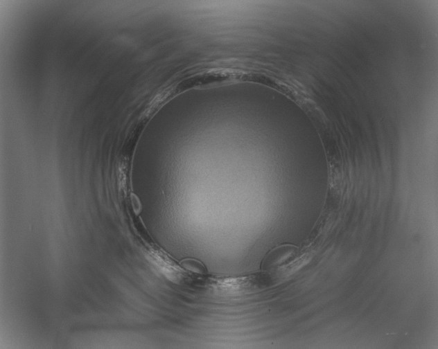 X0000057040382200509231453