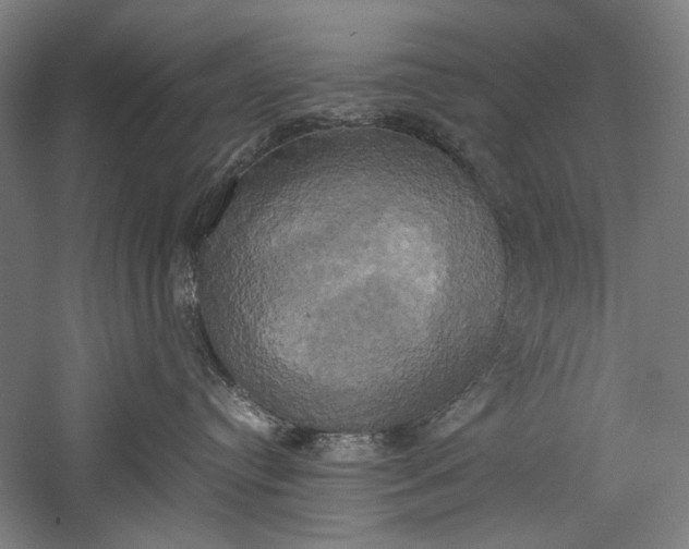 X0000057040384200509231453