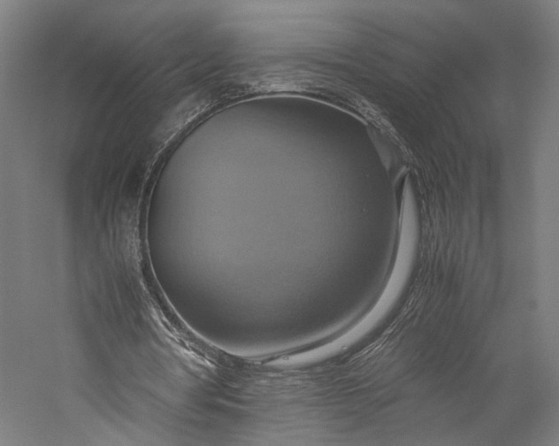 X0000057040386200509231453