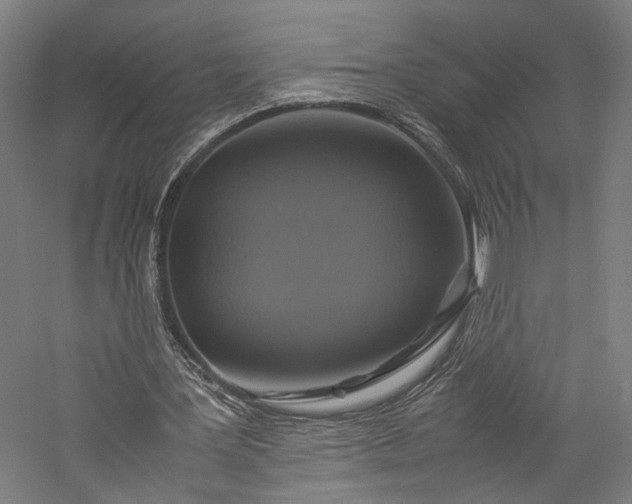 X0000057040387200509231452