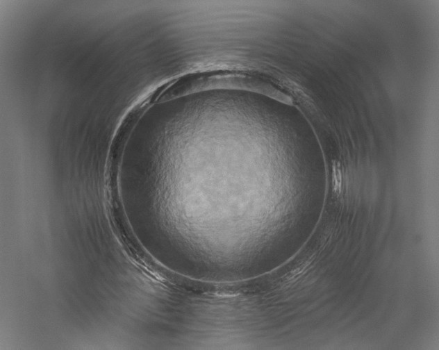 X0000057040388200509231452