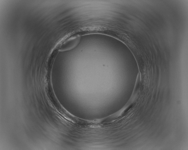 X0000057040392200509231452