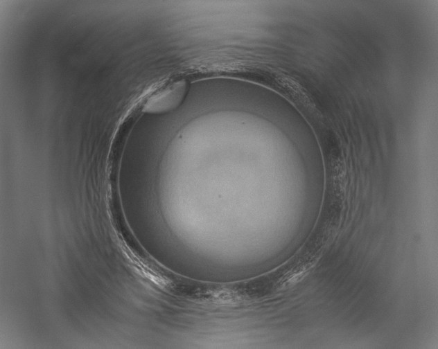 X0000057040395200509231452