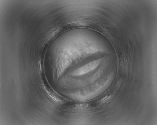 X0000057040398200509231452