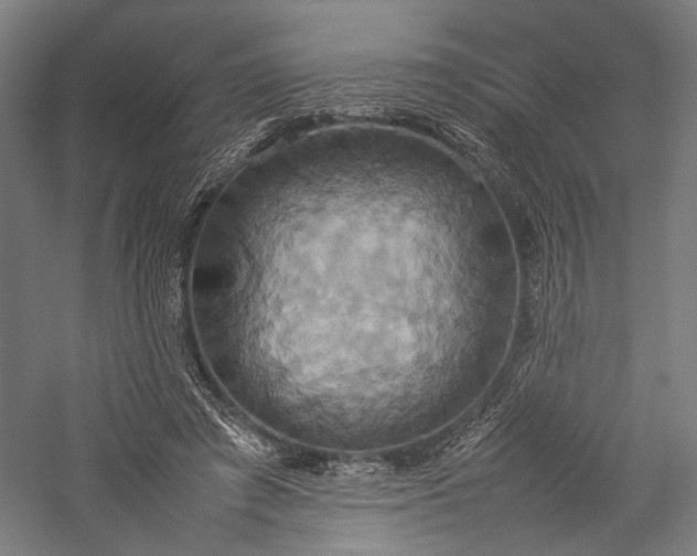 X0000057040401200509231452