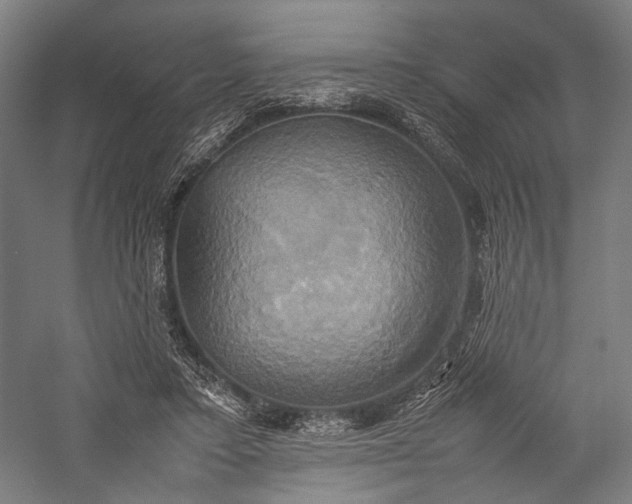 X0000057040403200509231452