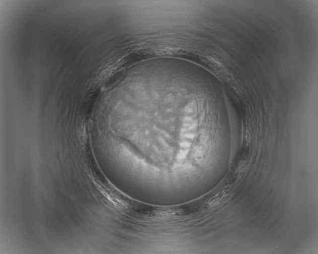 X0000057040405200509231452