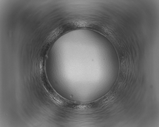 X0000057040406200509231452