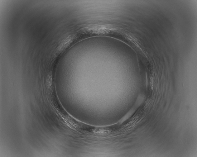 X0000057040407200509231452