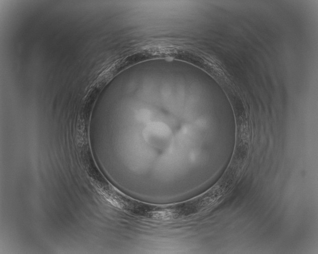 X0000057040411200509231452