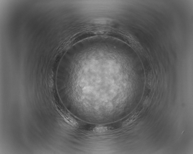 X0000057040413200509231452