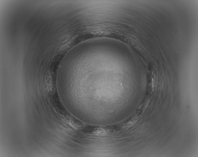 X0000057040416200509231452