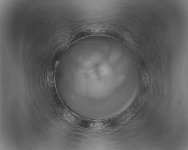 X0000057040419200509231452