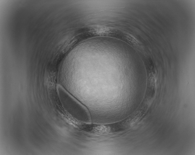 X0000057040421200509231452