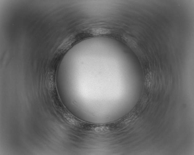 X0000057040426200509231452