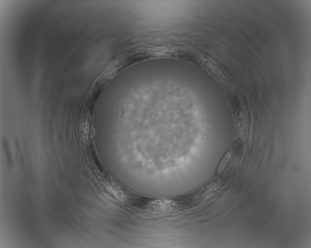 X0000057040427200509231452