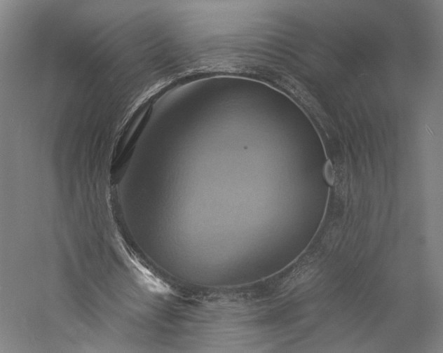 X0000057040434200509231451