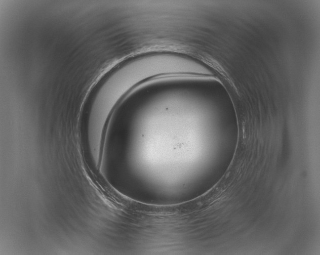 X0000057040436200509231451