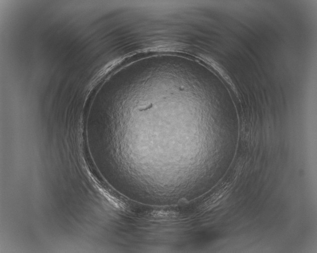 X0000057040437200509231451