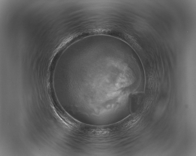 X0000057040443200509231451
