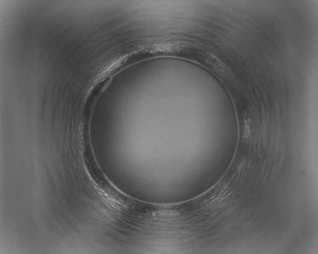 X0000057040444200509231451