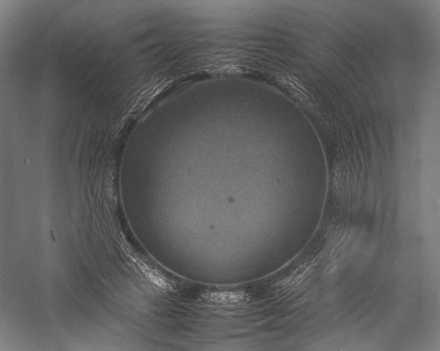 X0000057040449200509231451