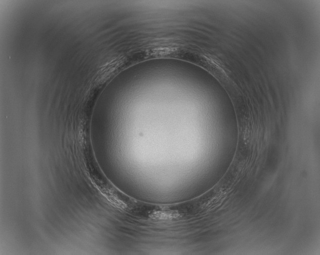 X0000057040455200509231451
