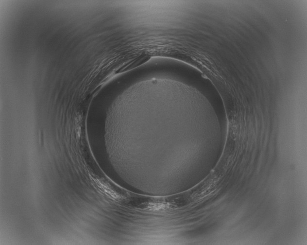 X0000057040458200509231451