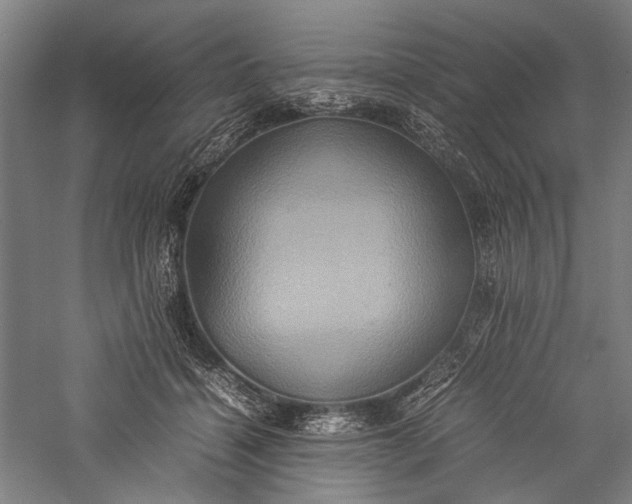 X0000057040460200509231451
