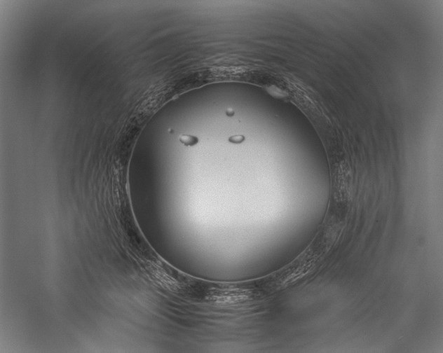 X0000057040463200509231451