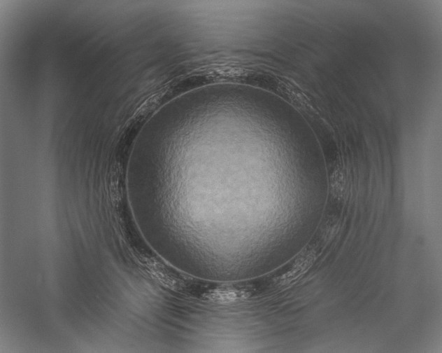 X0000057040464200509231451