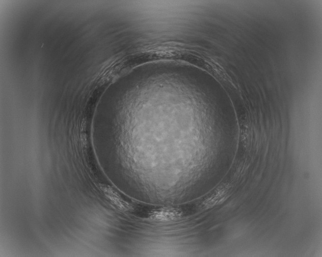X0000057040466200509231451