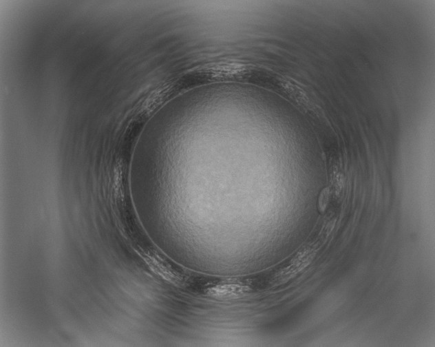 X0000057040468200509231452