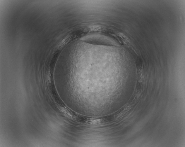 X0000057040472200509231452