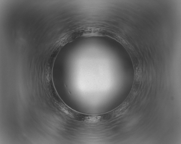 X0000057040474200509231452