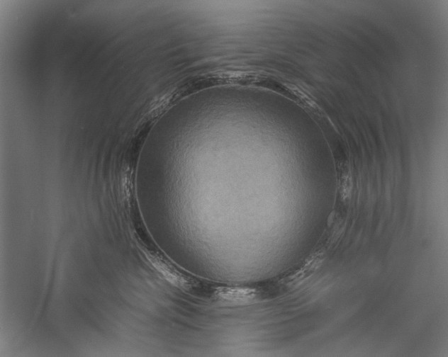 X0000057040476200509231452