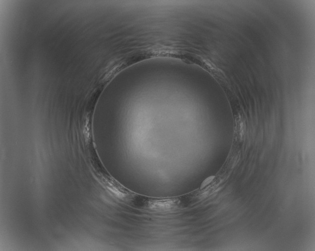 X0000057040479200509231452